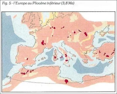 Pliocne infrieur -3,8 Millions d'annes, la Provence tait :