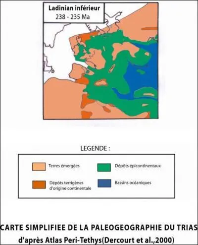 A l're secondaire, au Trias Moyen de -238  -235 Millions d'annes, les dpts continentaux sont le rsultat de :