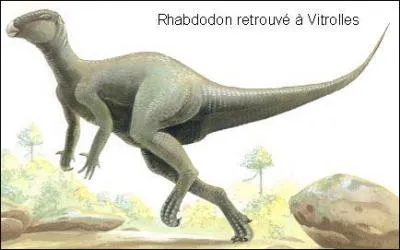 Fin du Crtac-suprieur 83-65 Millions d'annes, la Provence tait :