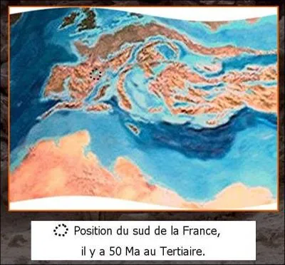 A l'Eocne, il y a 50 Millions d'annes, la Provence tait :