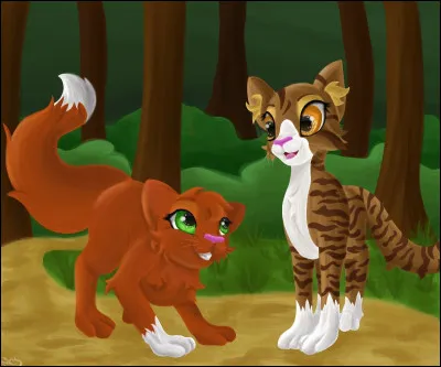 Je suis Poil d'Écureuil, la fille d'Étoile de Feu et de Tempête de Sable. Qui est mon compagnon ?