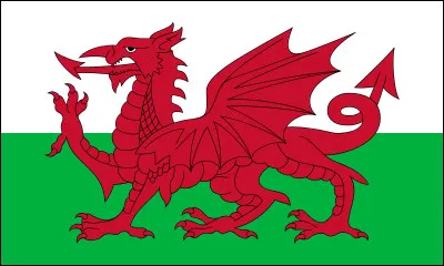 De quel pays est ce drapeau ?