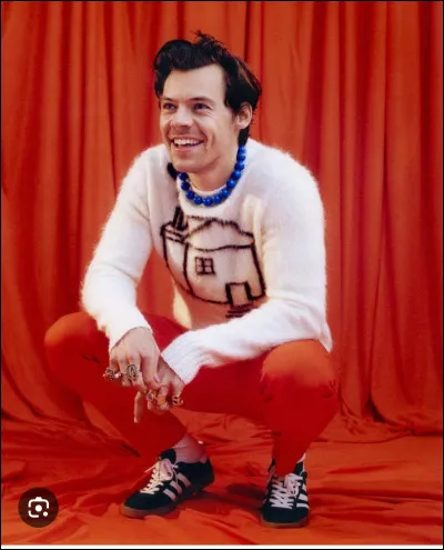 Comment s'appelait la première tournée d'Harry Styles ?