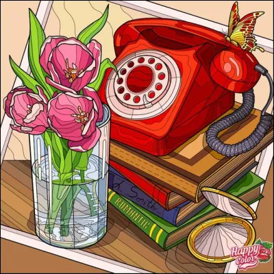 Que vous inspire ce téléphone sur l'image ?