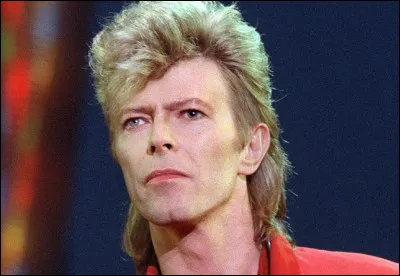 Qui est ce chanteur, auteur et interprète du titre ''Cat People'' (Putting Out Fire) ?