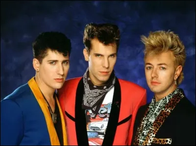 Que signifie le nom du groupe ''Stray Cats'' ? ( Lisez bien les propositions)