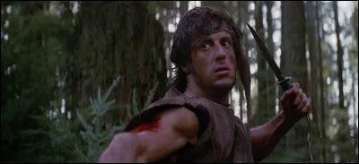 Comment s'intitule ce film d'action avec Stallone ?
