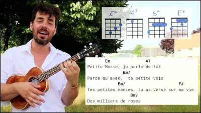 À quel chanteur doit-on le titre "Petite Marie" ?