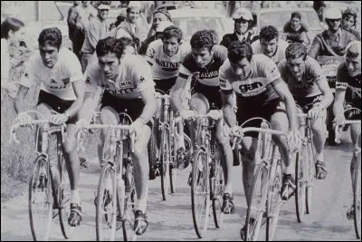 Quel est le nombre de Tours remportés par Merckx ?