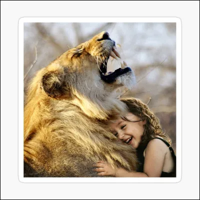 Quel élément de l'intelligence émotionnelle implique la capacité à comprendre les émotions des autres ?