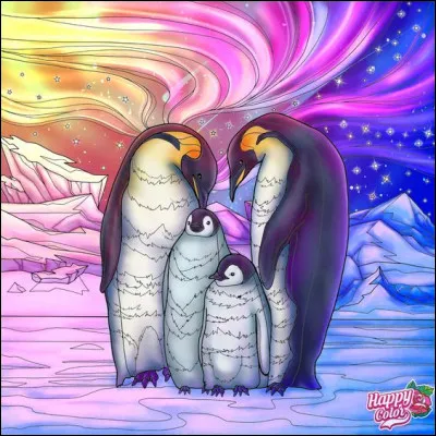 Pourquoi le pingouin vole-t-il et pas le manchot ?