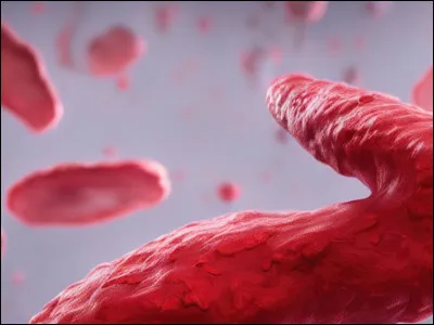 Des "............" et du sang, Les "..............." sauvages