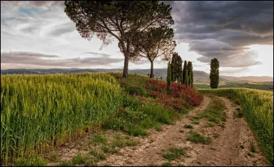 Les chemins de la ".............." ville, Rue ".............."