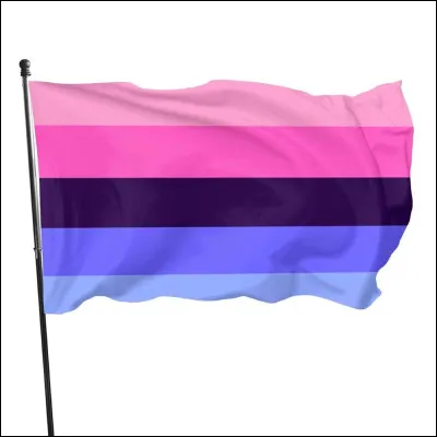 Quel est ce drapeau ?