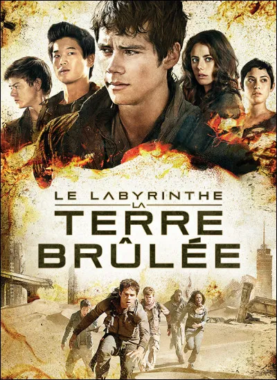 Quel rôle jouerais-tu dans un groupe de survivants dans "Le Labyrinthe" ?