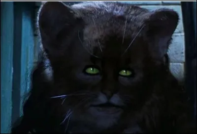 En deuxième année, Hermione prépare du Polynectar et elle se transforme malencontreusement en chat. De qui voulait-elle prendre l'apparence au départ ?