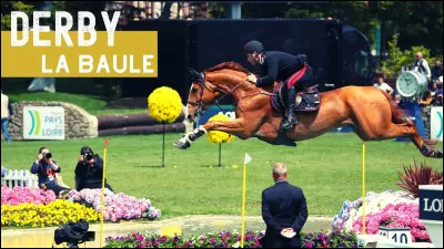 Quel est le nom du cheval qui détient le record de saut en longueur, et quelle est la longueur de ce saut ?