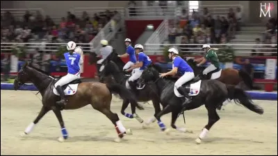 Une équipe de Horse-Ball a gagné plusieurs fois la Coupe d'Europe.
Quelle équipe et combien de fois ?