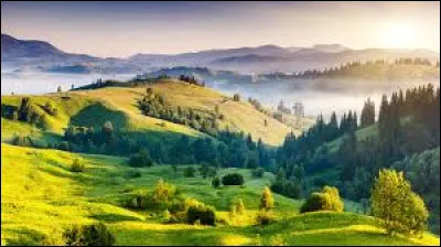 Quel roi de France a été guillotiné pendant la Révolution française ?