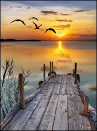 Quel explorateur portugais a ouvert la route maritime vers l�Inde en contournant l�Afrique ?