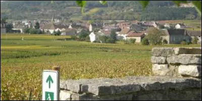 Je vous propose de traverser les vignes et de partir à Puligny-Montrachet. Village viticole de l'aire d'attraction Beaunoise, il se situe dans le département ...