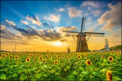 Quel roi dAngleterre a signé la Magna Carta en 1215 ?