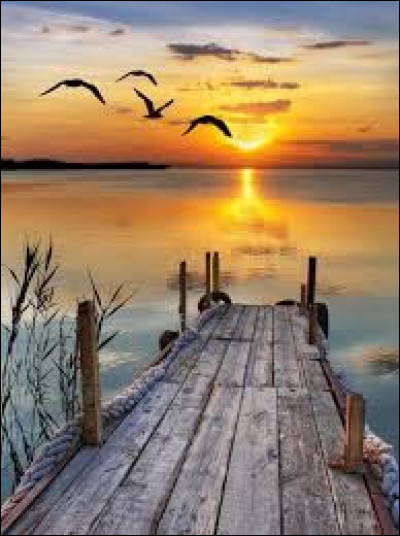 Quel terme désigne un excès de violence chez les Grecs ?