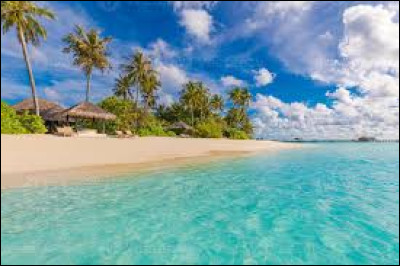 Quel événement a marqué la fin de la guerre froide ?