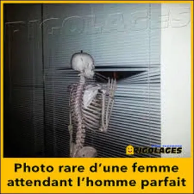 À l'âge adulte, de combien d'os est composé le corps humain ?