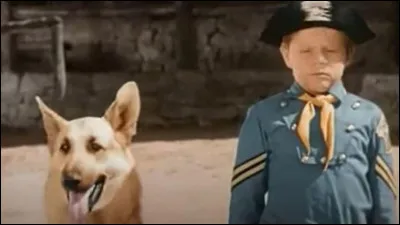 Merveilleux membre de la cavalerie...