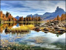 De combien de cordes le violoncelle dispose-t-il ?