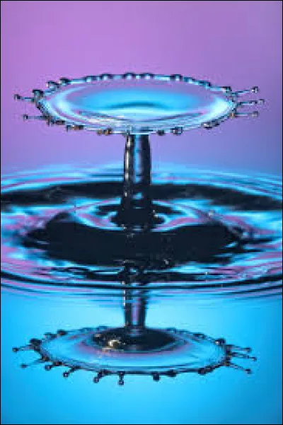 Quelle mol&eacute;cule peut-on d&eacute;tecter gr&acirc;ce &agrave; l'eau de chaux ?