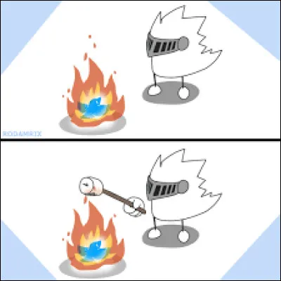 Important : aimes-tu Roda ?