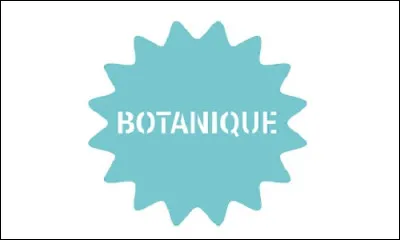 Qu'est la prune sur le plan botanique ?