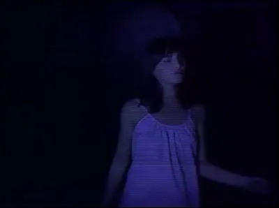 Quelle chanteuse interprétait ''Les brunes comptent pas pour des prunes'' ?