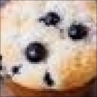 Chihuahua ou muffin aux myrtilles ?