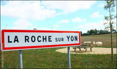 Quel a été le nom de la La Roche-sur-Yon (préfecture de Vendée ) de 1804 à 1814 ?