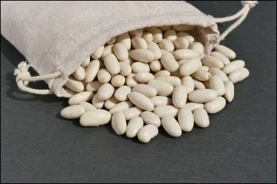 Quel est le nom de ce haricot blanc qui fait fait l'objet d'une indication géographique protégée de Vendée ?