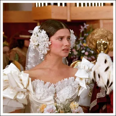 C'est la version parodique de Leia....