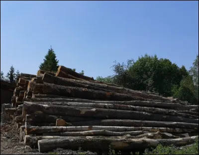 À l'origine de beaux zestes, c'est l'...