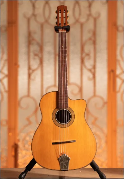 Quel est cet instrument à cordes ?