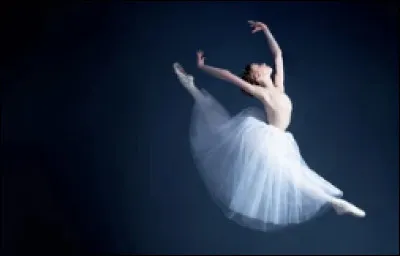 Qui est le personnage principal de "Le Château ambulant" ?