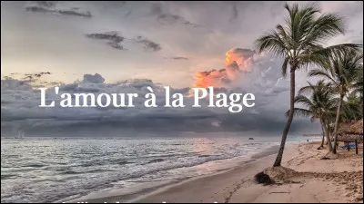 À quel duo faut-il attribuer la chanson "L'Amour à la plage" ?