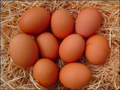 Dans un uf de poule, le blanc et le jaune ont un apport en protéines similaire. Vrai ou faux ?