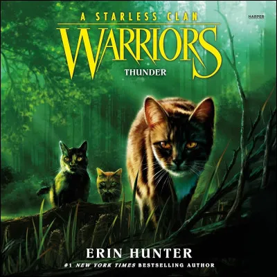 Étoile Bleue est le personnage préféré de...