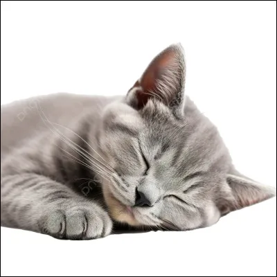 Combien de lieutenants a-t-elle eus ?