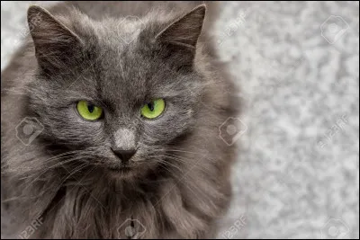 Comment est-elle morte ?