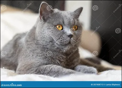 Combien a-t-elle eu dapprentis ?