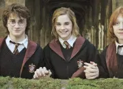 Test Dans quelle maison es-tu ? (Harry Potter)