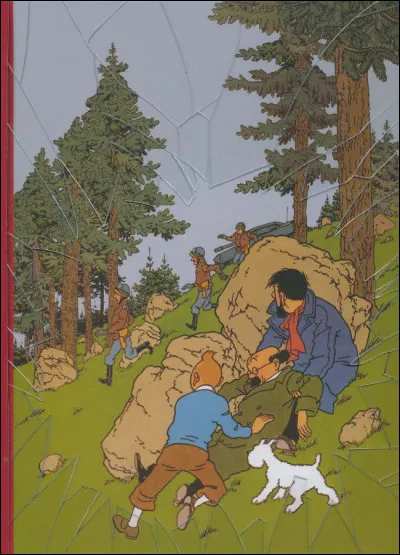 De quelle affaire s'agit-il dans cette bande dessinée ?